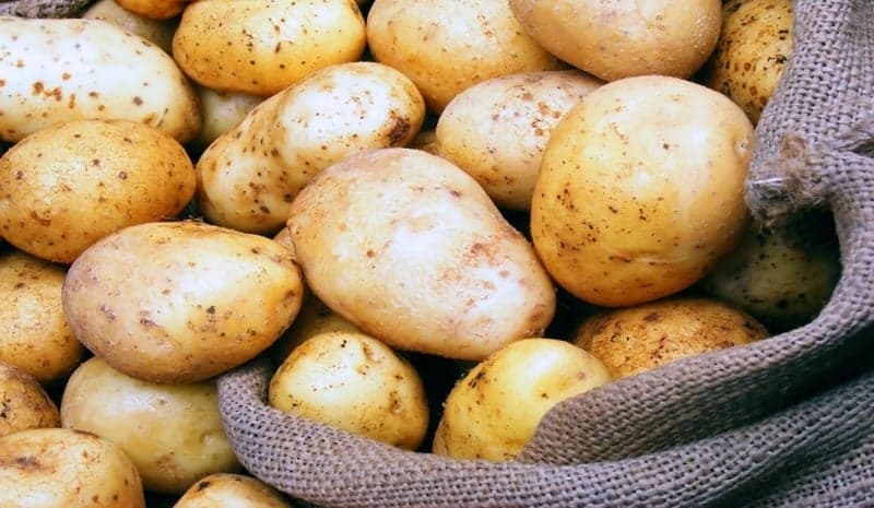 هل تؤثر البطاطا على خسارة الوزن