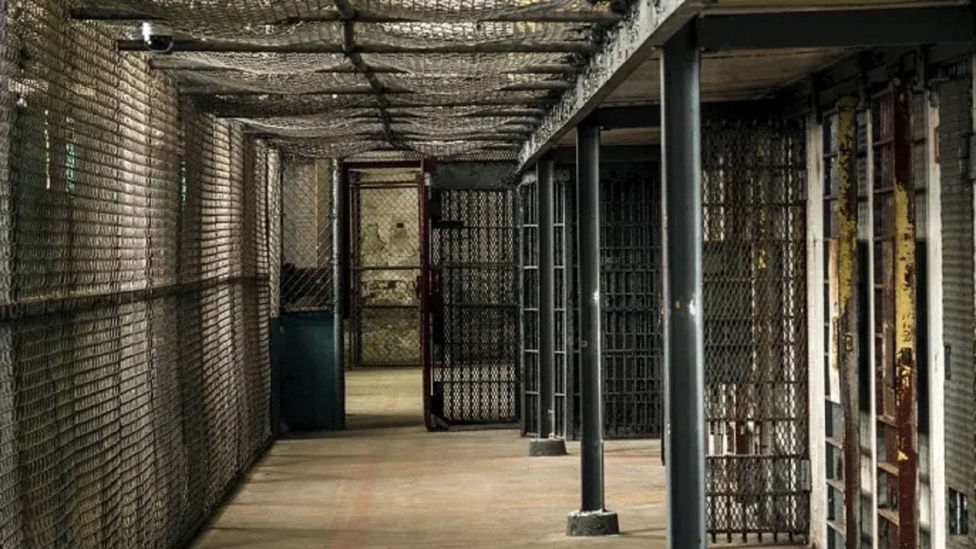 Lebanese prisoner leads cell funding ISIS in Syria