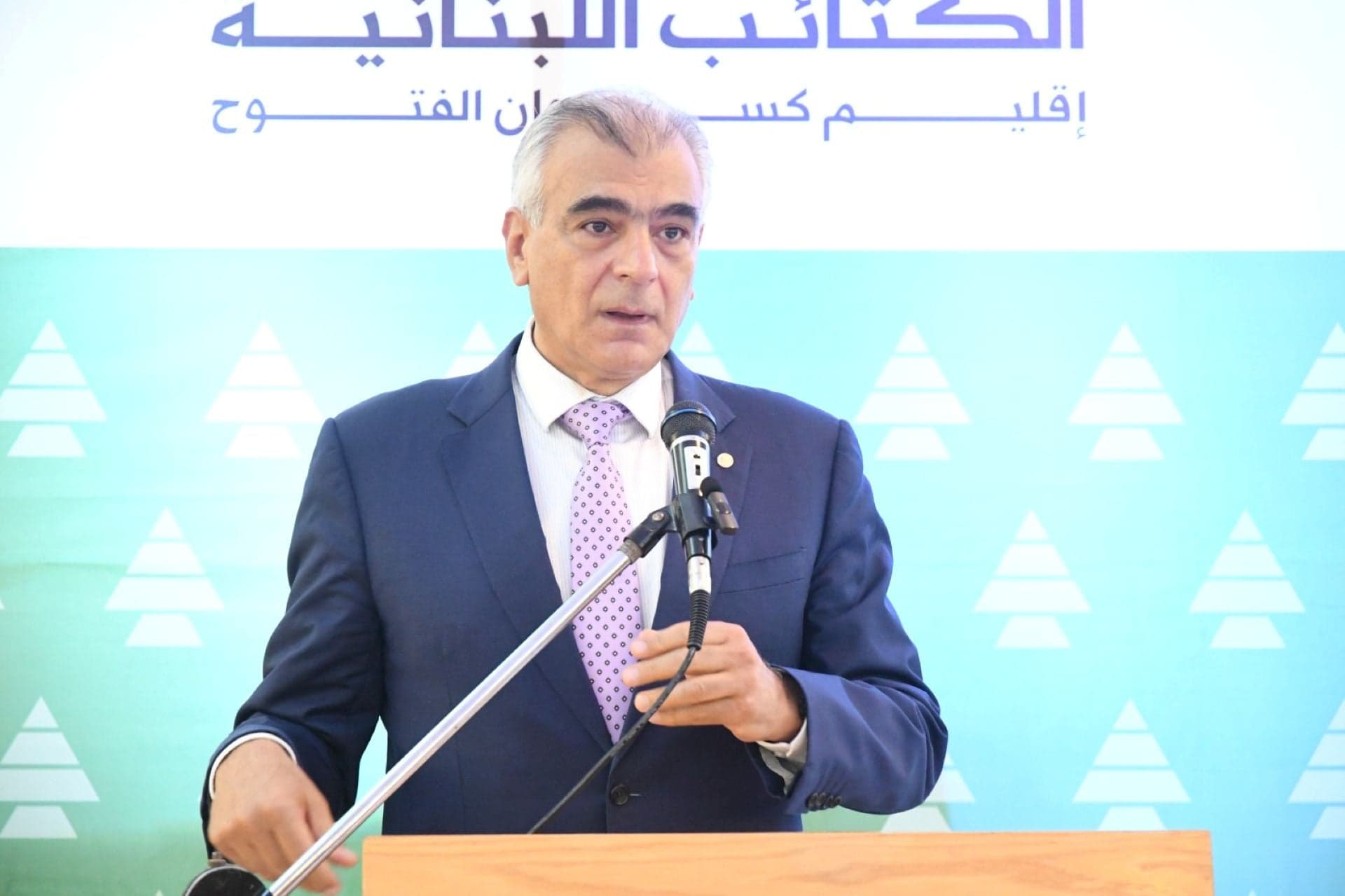Al-Sayygh on weapons and ceasefire
