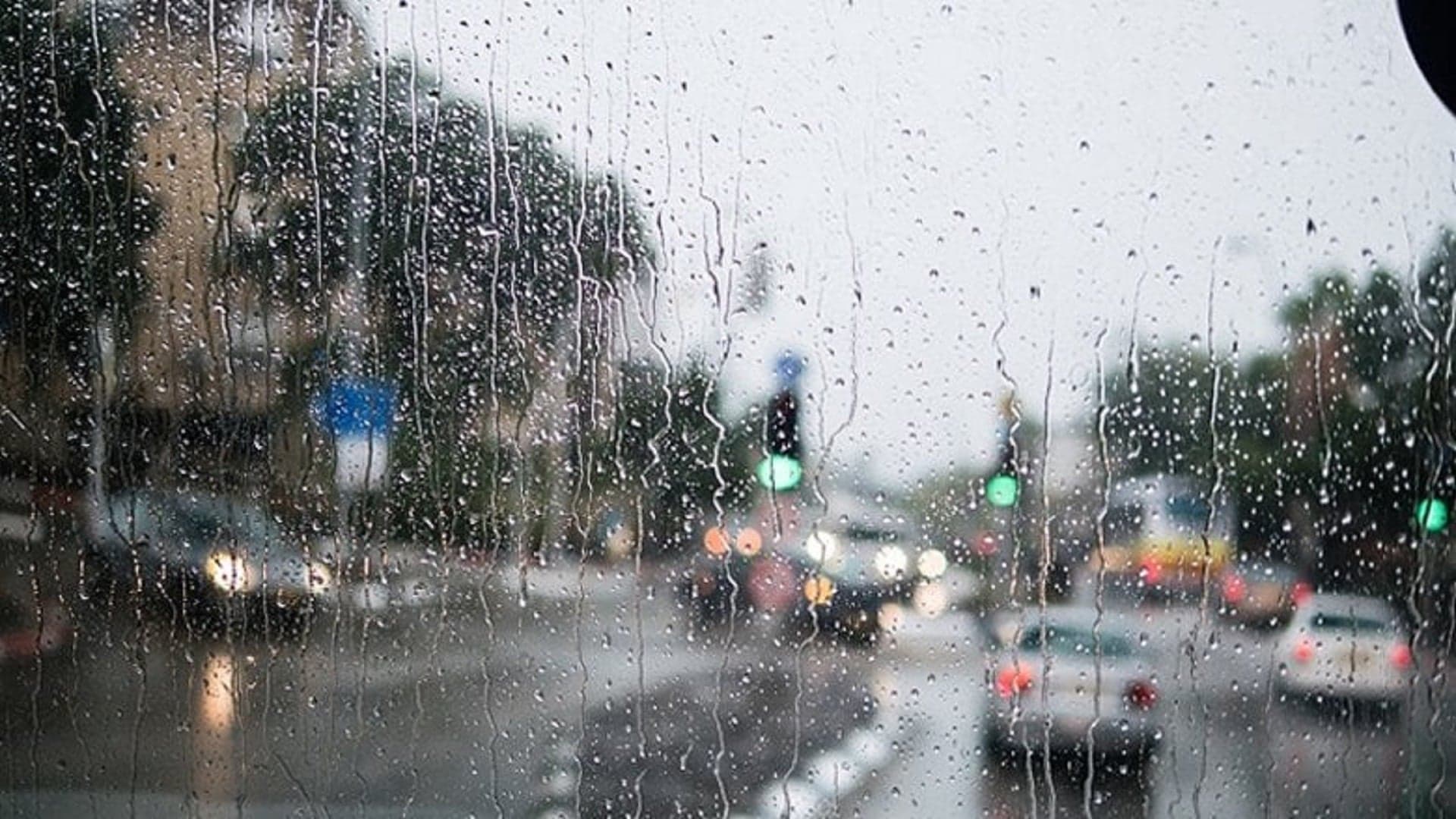 September Rain Begins