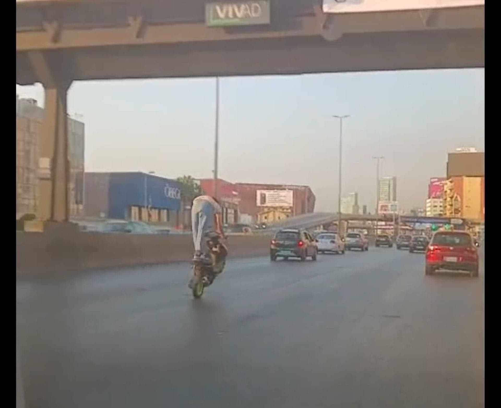 رامبو يظهر على طريق جل الديب