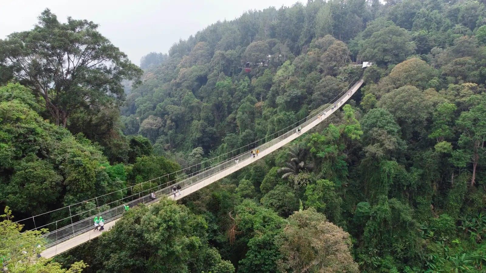 Bridge collapses at opening