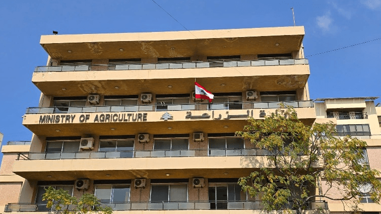 الزراعة تعتمد إجراءات لتسهيل تسجيل المزارعين لغاية 2027