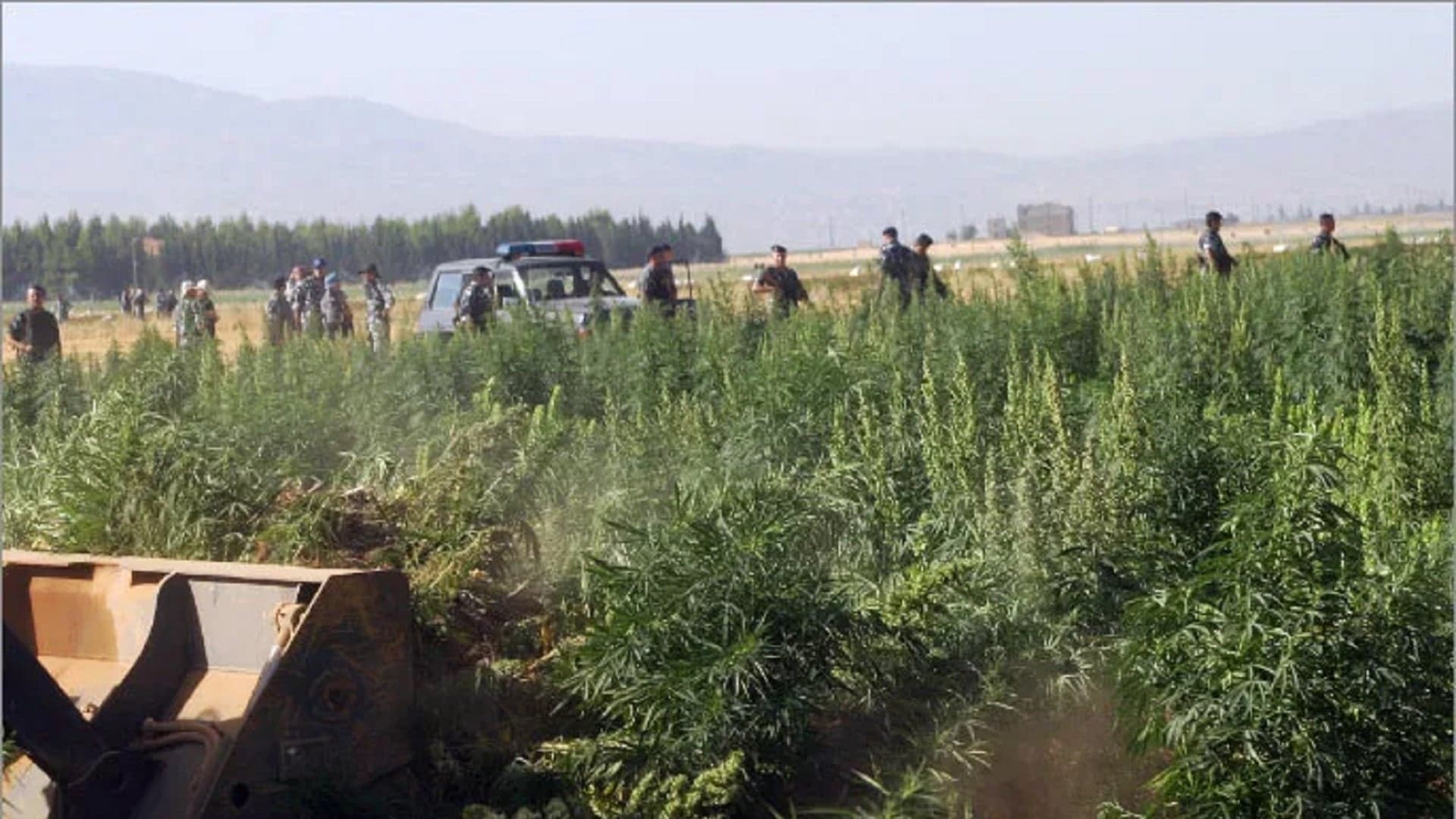 Beqaa's Captagon Network Dismantled