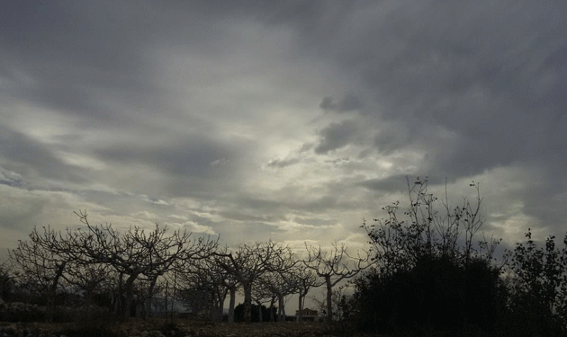 Weather Alert: Fog and Winds Ahead