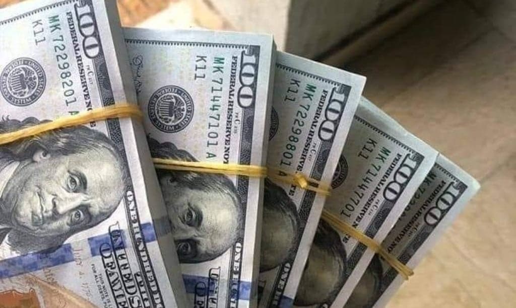 الودائع تتعافى بمشاركة الدولة في الخسائر