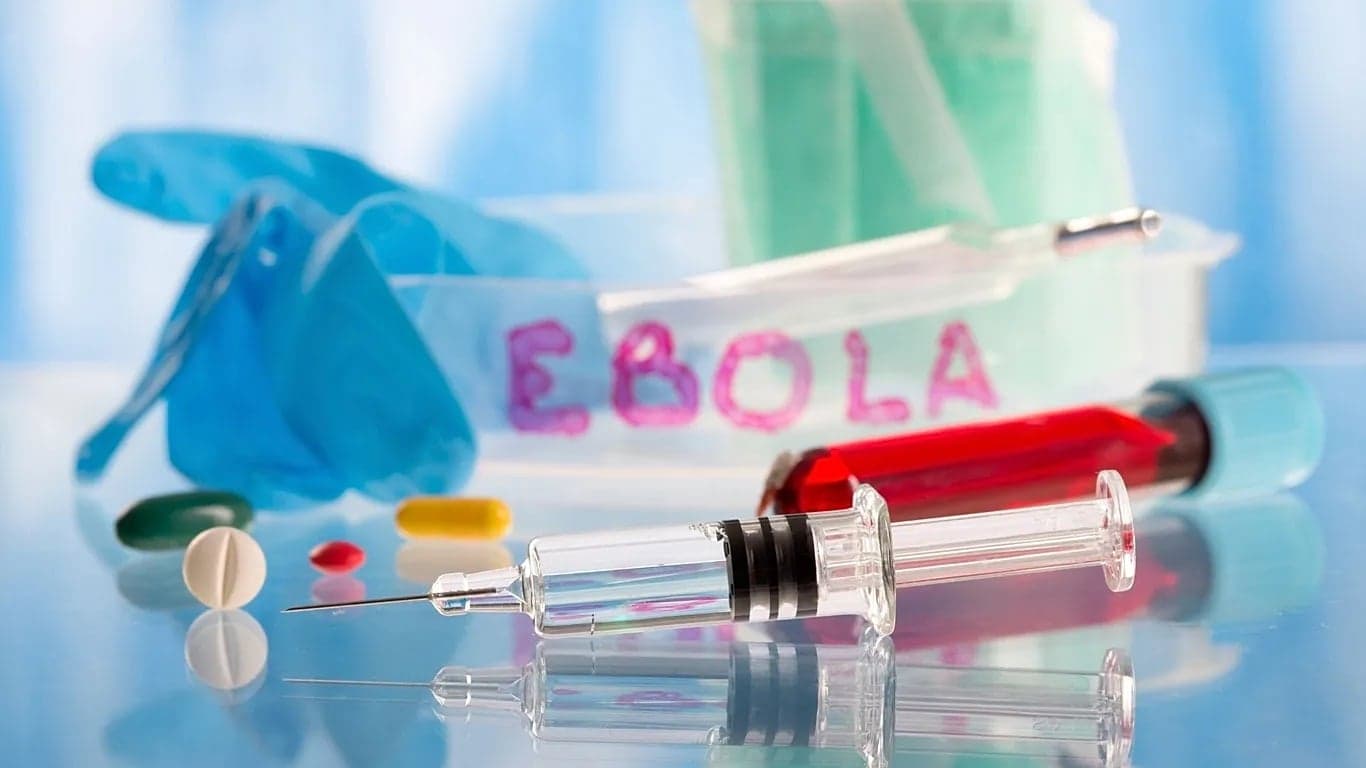 New vaccine offers robust Ebola protection