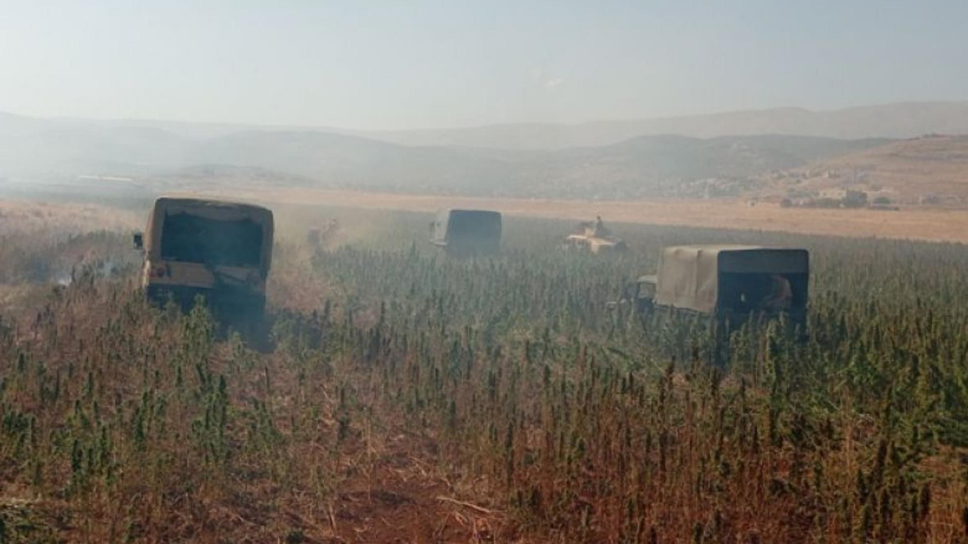 Hashish Seized and 17 Arrested