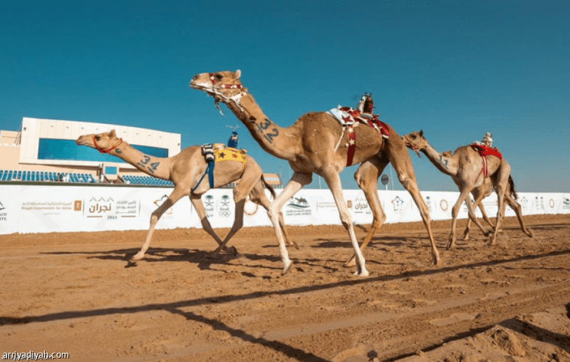 Al-Mufareed race series begins Saturday
