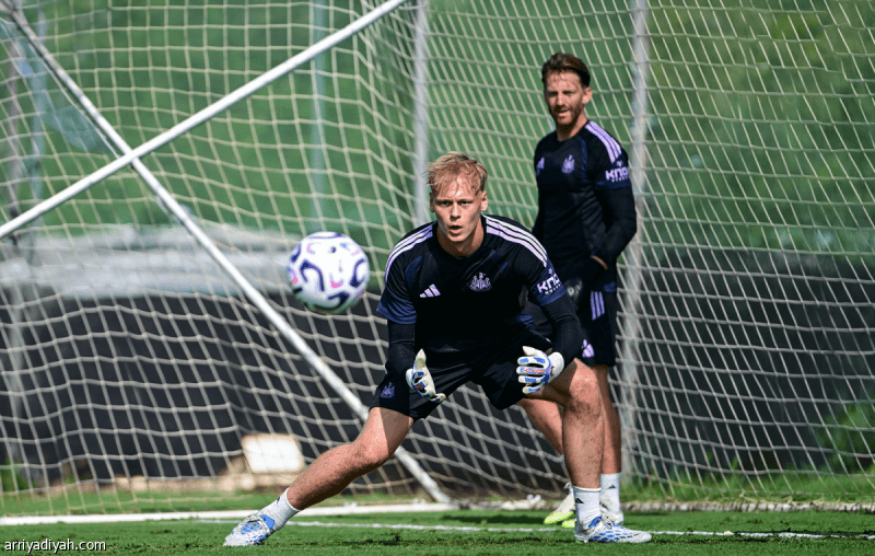 Hornitchik's move to Newcastle