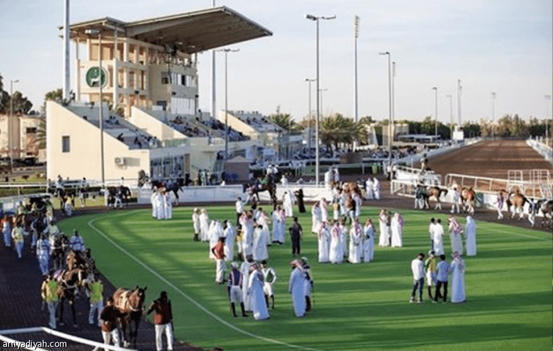 سباقات الطائف تبدأ بـ11 شوطا