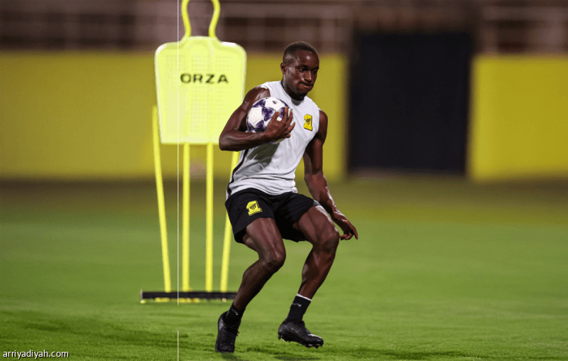 Diaby Transfer to Leverkusen for 30 Million