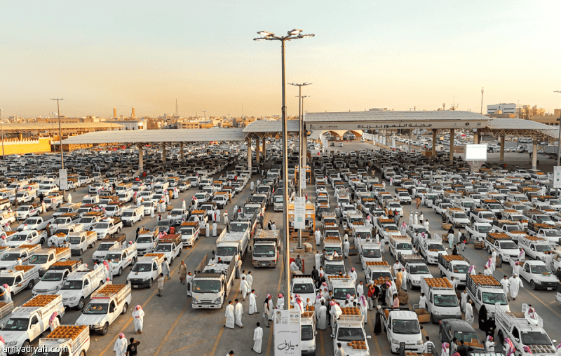 Buraidah Hosts Global Date Festival