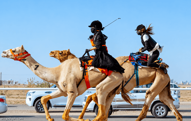احتفال اتحاد الهجن باليوم الوطني بميدان الجنادرية