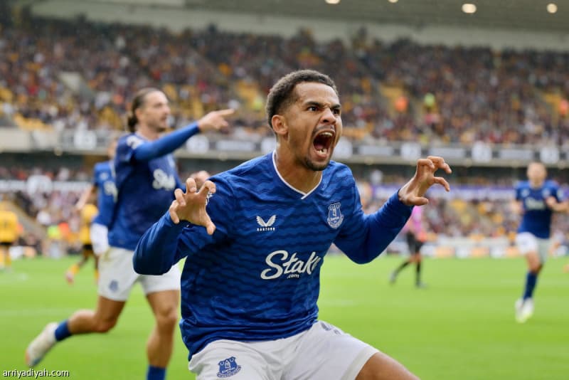 Everton seeks 70M for Ndiay