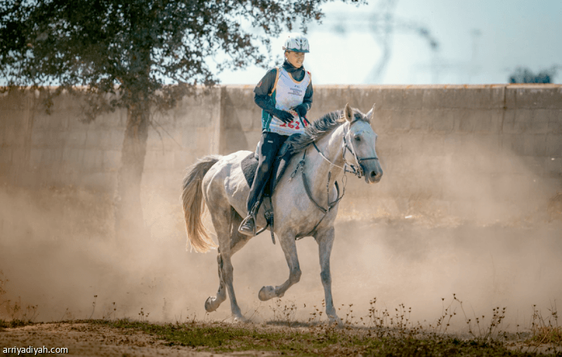 Al-Zouaid dominates Small Horses World Cup summer event