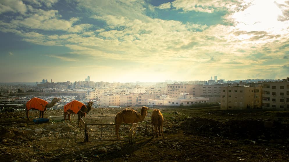 Moderate temps until Tuesday in Amman