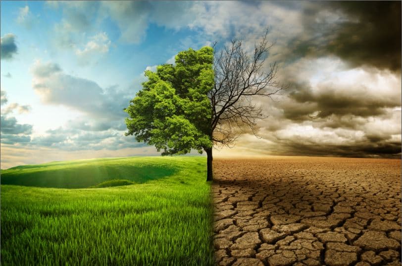 Nawfel Salama questions climate crisis progress