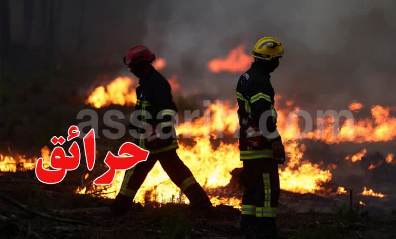 Jendouba Fire Suppression Efforts
