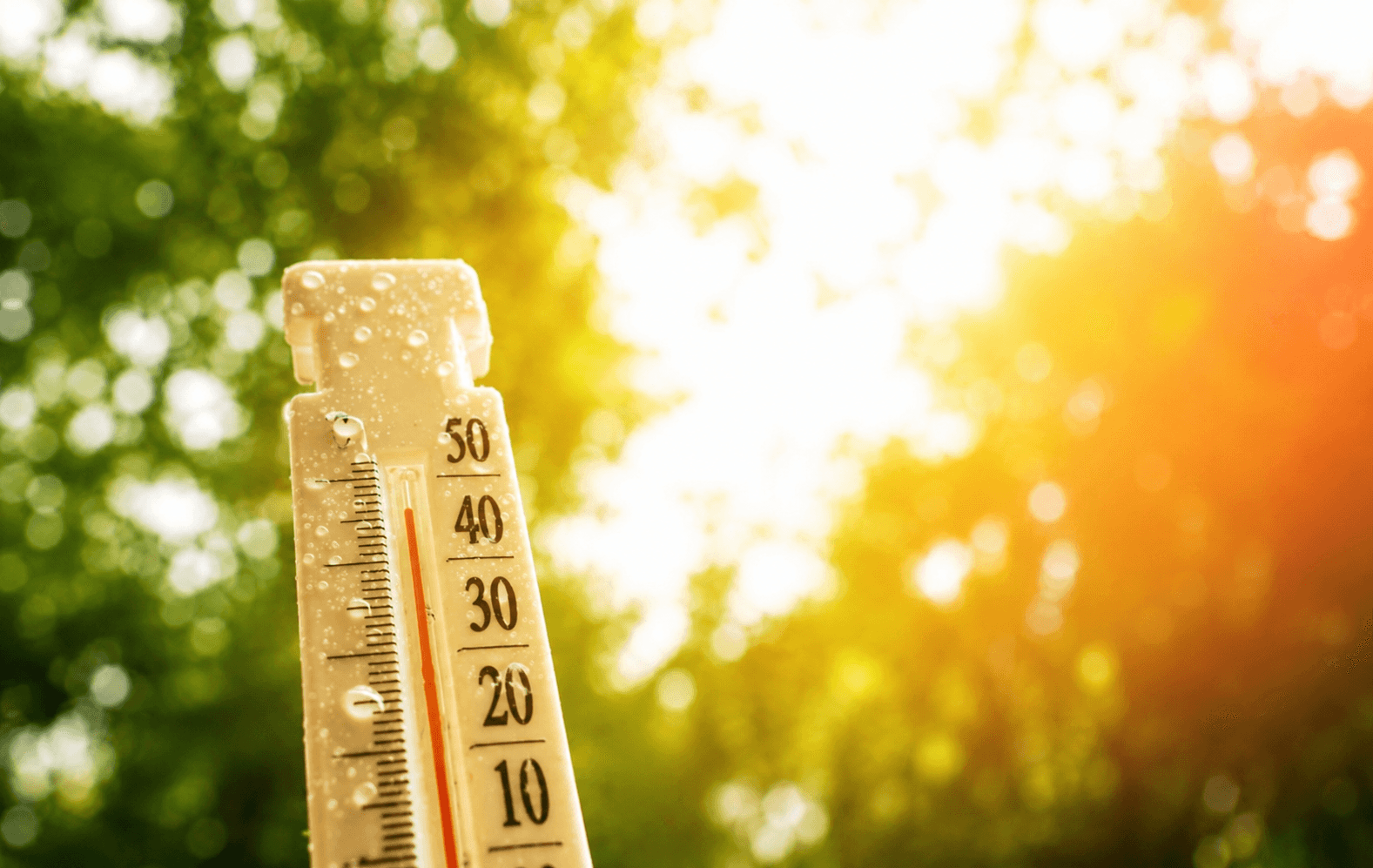 Sunday: Hot and Stormy Weather