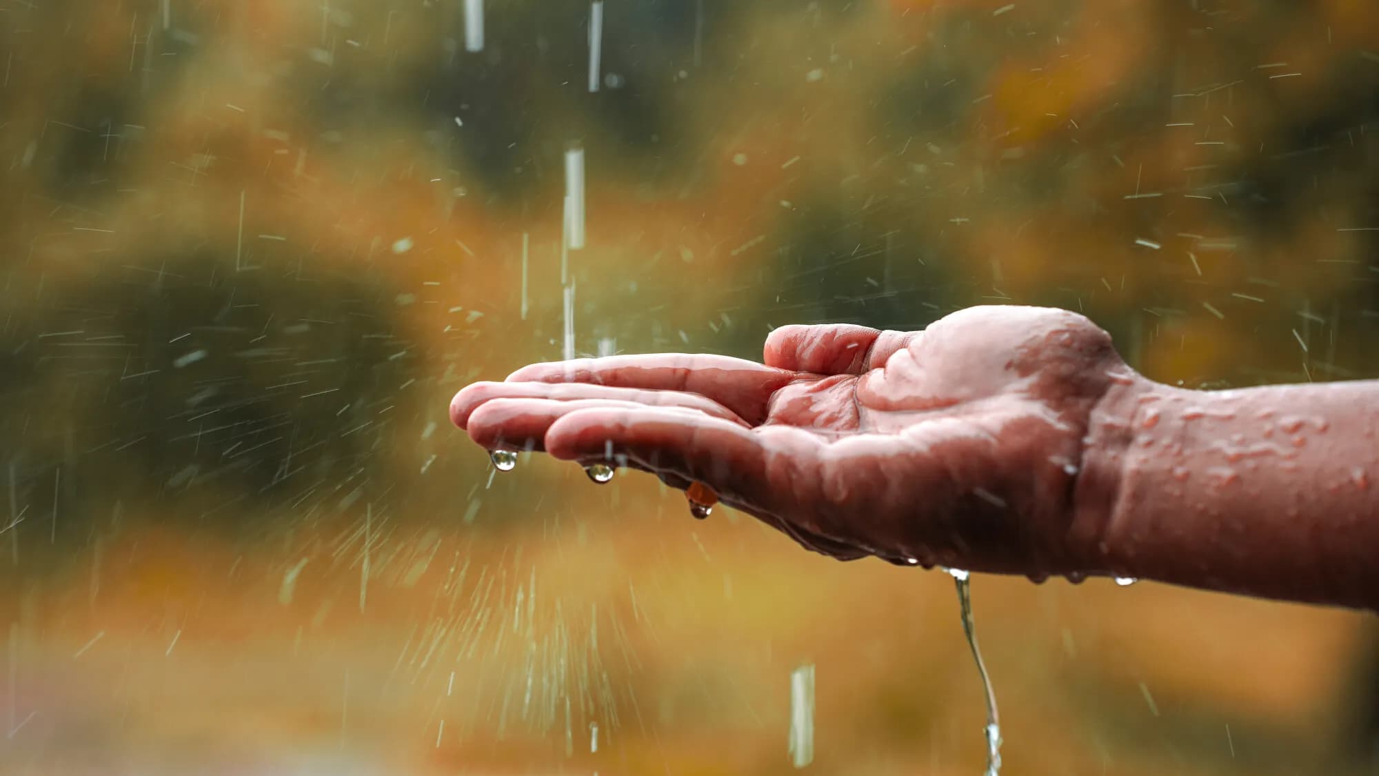 Assarih reports recent rainfall data