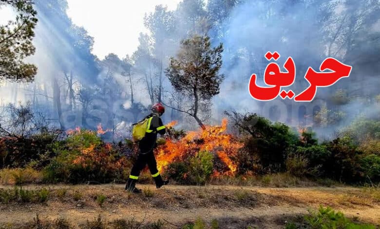 Silyana: Mount Mzatah Fire Contained