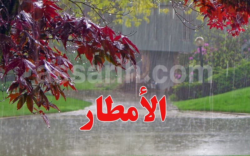 Assarih reports 24-hour rainfall
