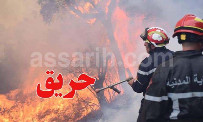 Sliyana Continues Fire Control Efforts