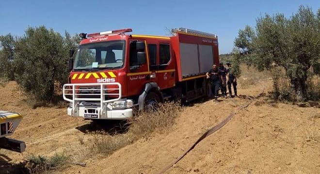 Civil Protection reports 169 fires put out in one day