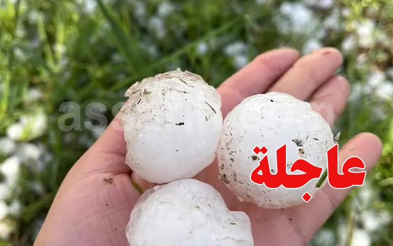وزارة الفلاحة تصدر توجيهات حول تساقط البرد