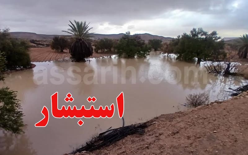 Severe South Rains Bring Hope