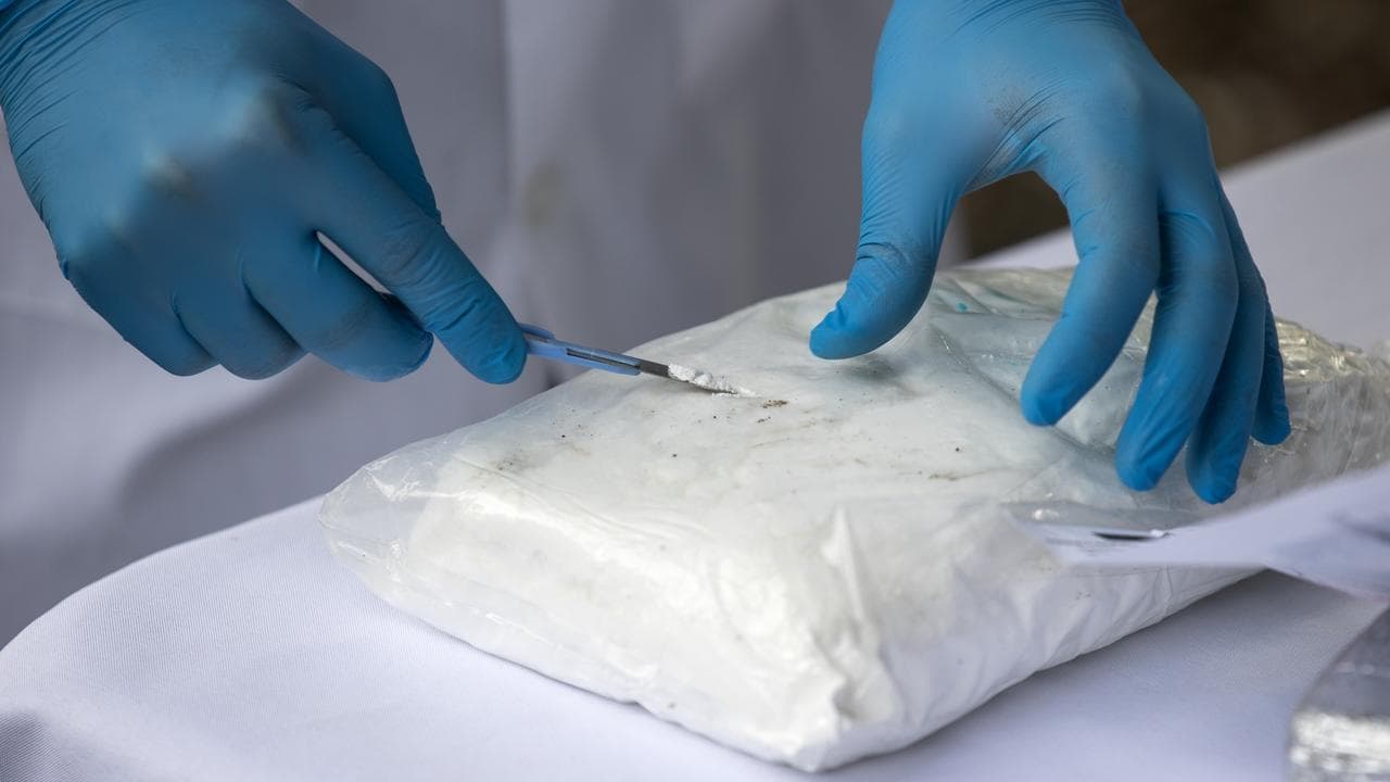 Egypt composer detained with cocaine