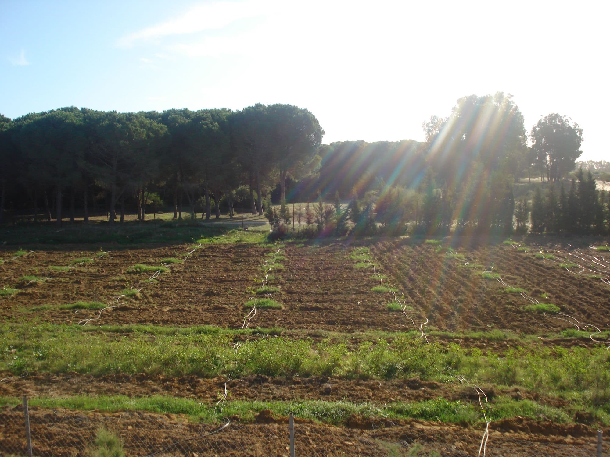 Bizerte resolves farm land files in Ghezala and Menzel Bourguiba