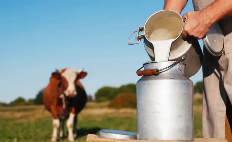 Assessing the Sterilized Milk Stock Levels