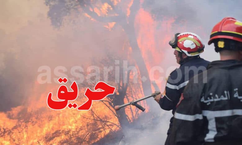 Mount Bolman fire spreads toward Blouta