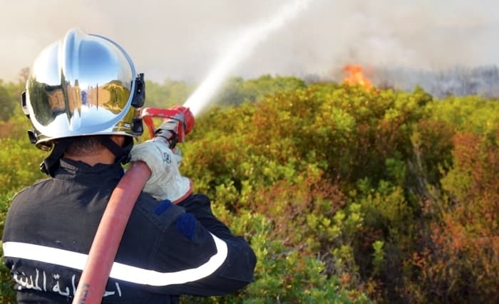 Civil Protection reports 111 fires extinguished in a day