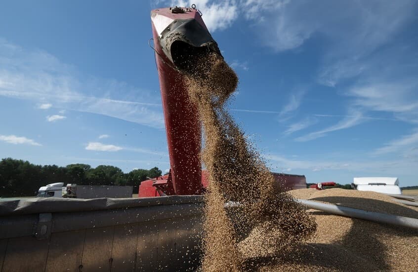Tunisia Buys 200000 Tons of Grain Feed