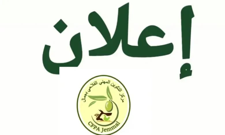 بيع ظرفي لزيتون في مركز جمال