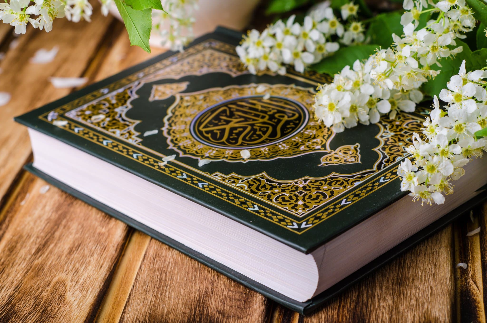 Al-Habib Al-Salami on insulting the Prophet