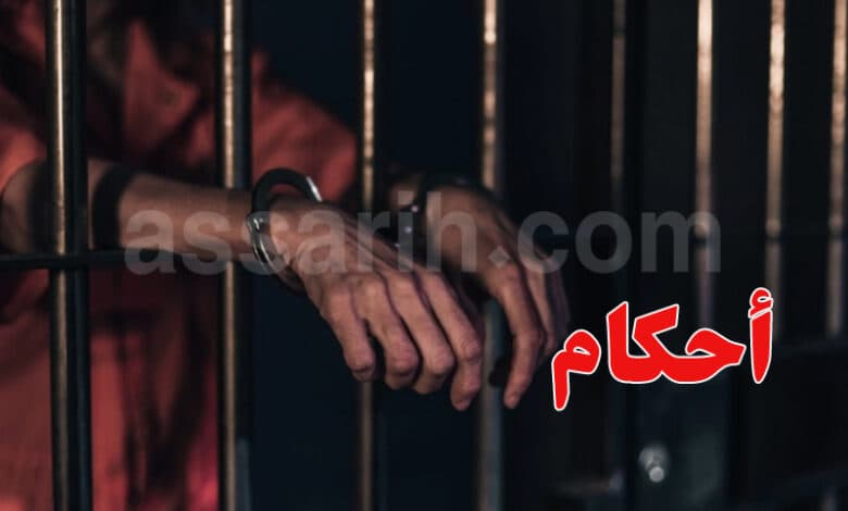 Tunisia: Long sentences for livestock thieves