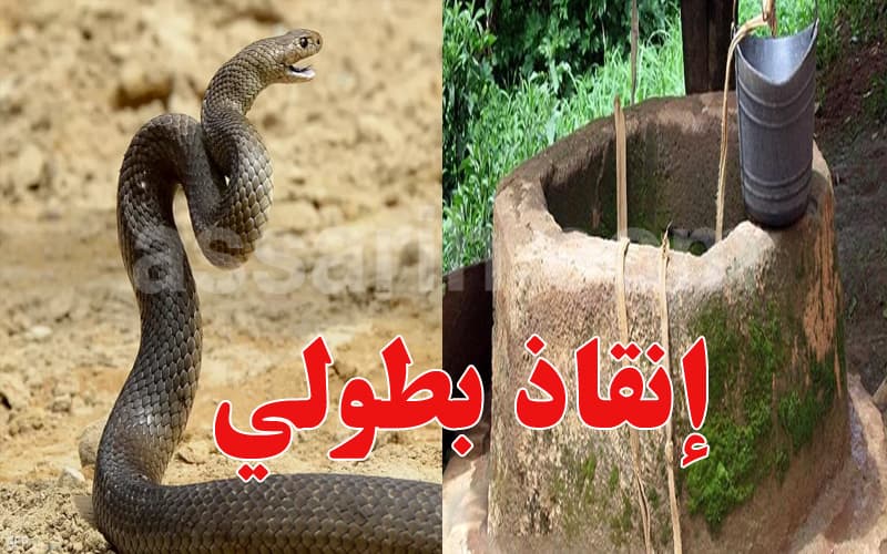 Girl escapes 30m well after snake confrontation