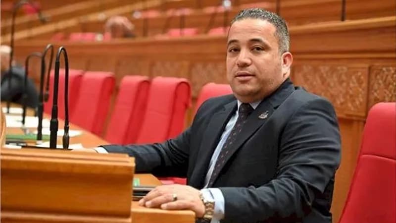 حكومة تدعم مستشفى كفر شكر وأطفال بنها