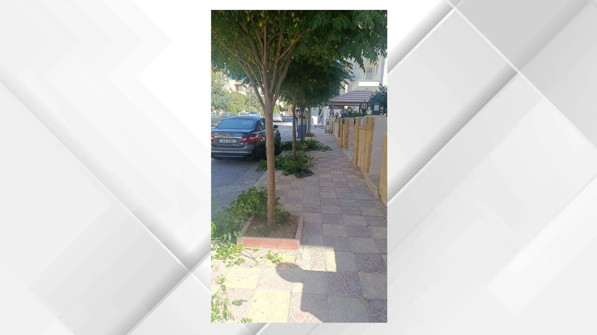 Amman Redraws Sidewalks and Trees