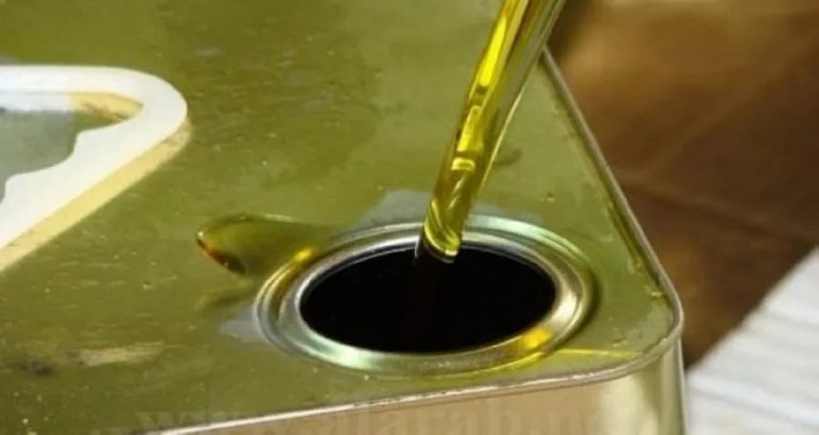 Al-Najadawi forecasts stable olive and Tanka prices