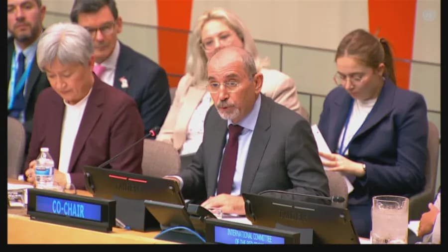 Al-Safadi urges swift action in Gaza and West Bank