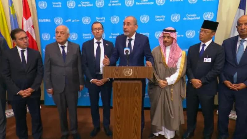 FM rejects Palestine solutions harming Jordan