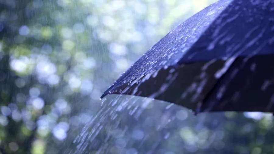 Moderate Weather and Cooler Temperatures Expected