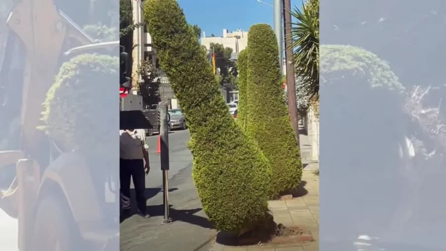 Amman plan to enhance sidewalks