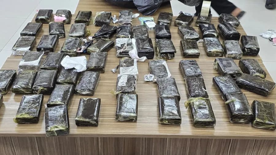 Customs seize 296 bags of hashish and 6 kg of marijuana