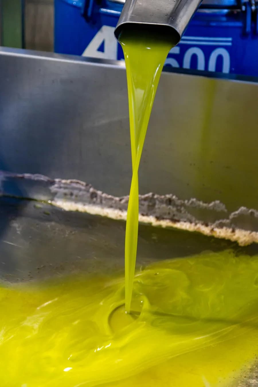 Olive Harvest 2026 Wages and Prices